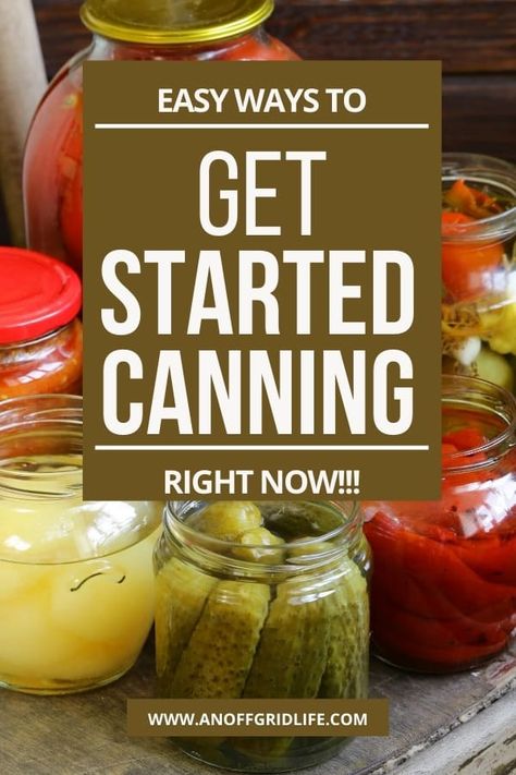 Food For Winter, Food For Beginners, Water Bath Canning Recipes, Canning For Beginners, Canning Meat, Easy Canning, Homestead Blog, Canning 101, Easy Starters