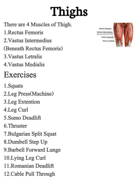 Vastus Medialis Exercises, Vastus Medialis, Knee Strengthening, Knee Strengthening Exercises, How To Strengthen Knees, Leg Press Machine, Bulgarian Split Squats, Leg Curl, Strengthening Exercises