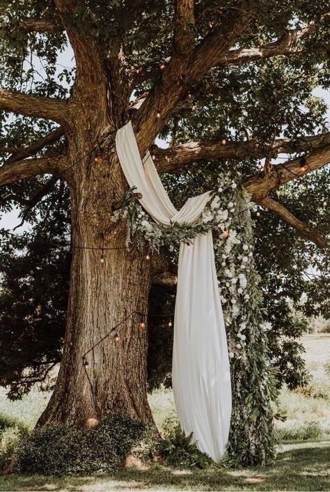 Tree Decor Wedding Ceremony, Under Tree Wedding Decor, Tree Drape For Wedding, Tree Wedding Arch Outdoor Ceremony, Backyard Wedding Tree Decor, Arch For Outdoor Wedding, Wedding Ceremony Tree Decor, Wedding Under Tree Decoration, Tree Draping Wedding