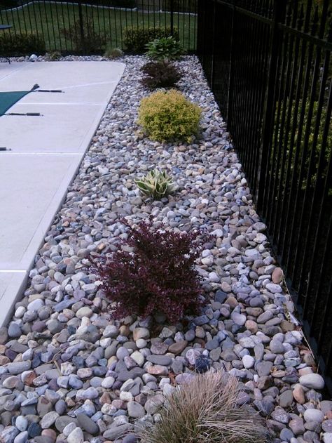 Refreshing a Swimming Pool Landscape - All About The House Stone Flower Beds, Landscaping Around Pool, Ideas De Piscina, Inground Pool Landscaping, Beds Diy, River Rock Landscaping, Swimming Pool Landscaping, Pool Landscape, Backyard Pool Landscaping