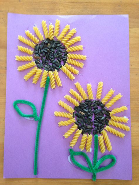 Sunflower seed and rotini sunflowers Sunflower crafts, Spring crafts Spring Toddler Crafts, Diy Spring Crafts, Sunflower Crafts, Easy Easter Crafts, Spring Crafts For Kids, Daycare Crafts, Crafts For Kids To Make, Spring Diy, Mothers Day Crafts