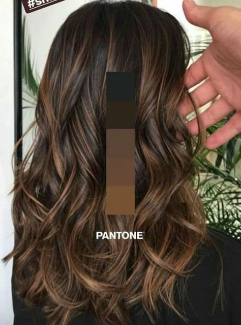 Color Trends 2024, Summer Hair Color Ideas, Rambut Brunette, Hair Color Light Brown, Brown Hair Balayage, Brown Hair With Highlights, Summer Hair Color, Hair Color Balayage, Hair Inspiration Color