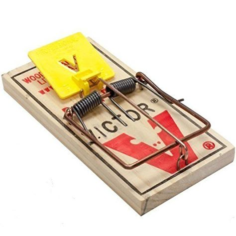 Mousetrap Car, Catching Mice, Getting Rid Of Rats, Simple Camping, Rat Trap, Rodent Repellent, Animal Traps, Basement Layout, Rat Traps