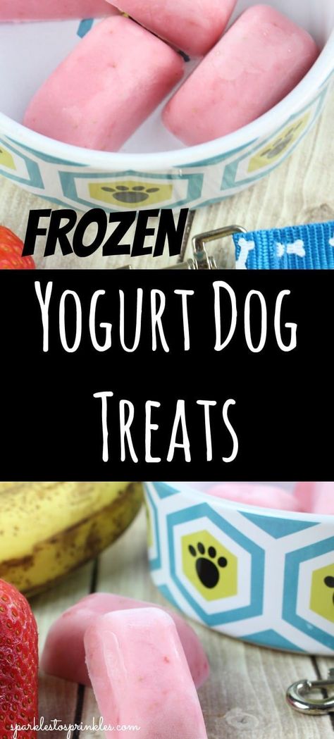 The summers are hot and if your dog is outside much they might enjoy these frozen yogurt dog treats to cool down. Pin for later! #pets #dogtreats #healthyrecipes #yogurt Dog Treats With Peanut Butter, Treats With Peanut Butter, Yogurt Dog Treats, Yogurt Frozen, Homemade Dog Cookies, Animal Treats, Frozen Dog Treats, Dog Biscuit, Dog Biscuit Recipes