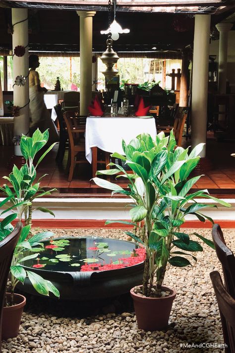 Serving an unforgettable taste of Kerala at Coconut Lagoon! The design of restaurant Ettukettu takes inspiration from the traditional architectural style, which is also its namesake. The heritage, old-world ambience matches perfectly with a delectable range of regional delights, served on fresh banana leaves, just like they would in any Kerala home! #MeAndCGHEarth #Backwater #CoconutLagoon #Traditional #Heritage #History #Restore #Backwaters #Sustainability #REstaurant #Ettuketturestaurant Kerala Restaurant, Kerala Backwaters, Kerala Home, Kerala Houses, Banana Leaves, Banana Leaf, Kerala, Creative Ideas, Old World