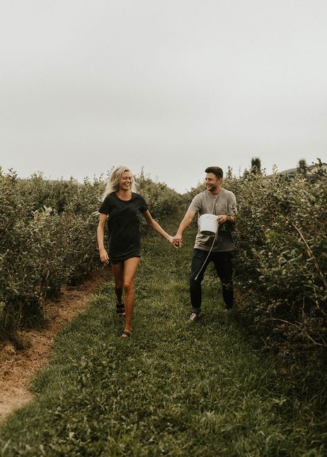 Blueberry fields shoot Blueberry Farm Photography, Blueberry Photoshoot, Blueberry Field Photoshoot, Farm Family Pictures, Blueberry Picking, Blueberry Farm, Berry Picking, Farm Photography, Creative Pictures