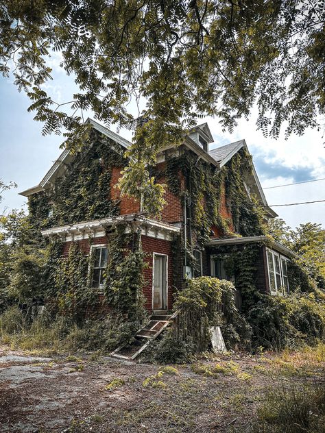 Overgrown Victorian House, Overgrown Houses, Swamp Mansion, Overgrown Buildings, Overgrown Village, 13 Treasures, Overgrown Aesthetic, Overgrown Mansion, Overgrown House