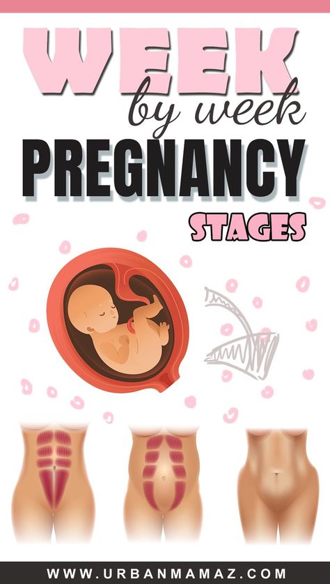 On a normal ground, a pregnancy takes about 40 weeks from the very first day that the last menstrual period took place to the day that the baby is born. The last menstrual period, also called LMP, is about two weeks preceding the period when the conception really took place. Follow your pregnancy with our Pregnancy week by week guide! Stages Of Pregnancy Weekly, Pregnancy Day By Day, Ovulation Symptoms, Pregnancy Side Effects, Week By Week Pregnancy, Estrogen Hormone, Weeks Of Pregnancy, Low Estrogen Symptoms, Early Pregnancy Signs