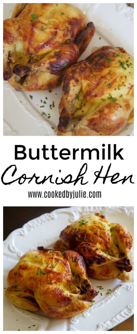 I really enjoy making these for the Holidays because I can play around with the seasonings and sauces. I once made 10 spicy guava Cornish hen and another 10 brined in seasoned buttermilk. I have a … Cornish Hen Recipe Easy, Hen Recipes, Game Hen Recipes, Christmas Drinking Games, Cornish Game Hen Recipes, Roasted Cornish Hen, Cornish Hen Recipe, Cornish Hen, Cornish Game Hen