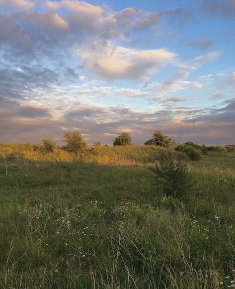 Grassy Field, Disney Funny, Photoshop Elements, Nature Aesthetic, Pretty Places, Mother Earth, Pretty Pictures, London England, Beautiful World