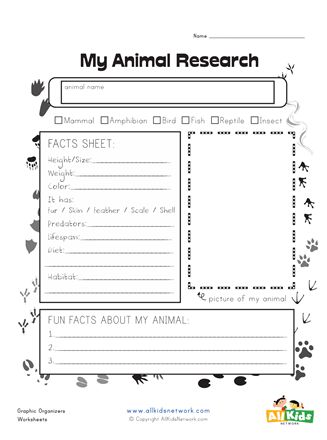 Animal Research Graphic Organizer | All Kids Network Meerkat Mail, Creative Graphic Organizer, Worksheet First Grade, Animal Report Template, Research Worksheet, Literacy Classroom, Teaching Plants, Free Graphic Organizers, Graphic Organizer Template