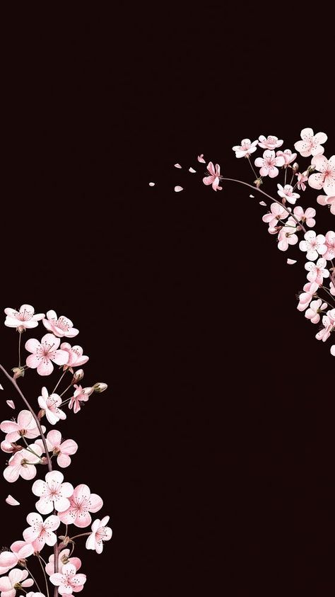 Japanese cherry blossom iPhone wallpaper, pink flowers background | premium image by rawpixel.com / Adjima Japanese Cherry Blossom Tree Wallpaper, Black Cherry Blossom Wallpaper, Cherry Blossom Iphone Wallpaper, Black And Pink Background, Cherry Blossom Wallpaper Iphone, Wallpaper Cherry Blossom, Iphone Wallpaper Pink, Dope Wallpaper, Japanese Background