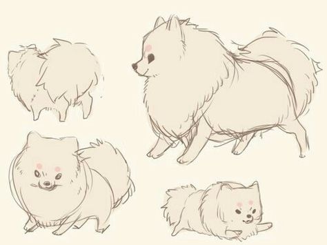 Dog Manga Drawing, Fluffy Animal Drawing, Pomeranian Character Design, Pomeranian Fursona, Pomeranian Drawing Simple, Pomeranian Puppy Drawing, Anime Dog Drawing, Character Design Animals, Pomeranian Sketch