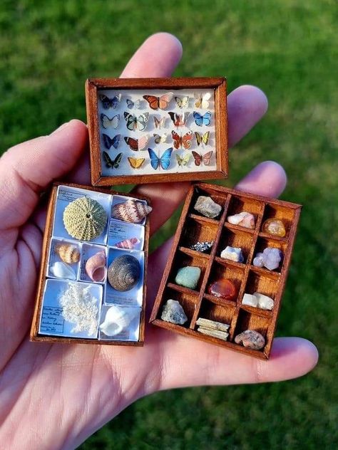 Seashell Box Diy, Diy Minature Stuff, Miniature Builds, Mini Ideas, Diy Doll Miniatures, Halloween Miniatures, Mini Craft, Barbie Diy, Miniature Diy