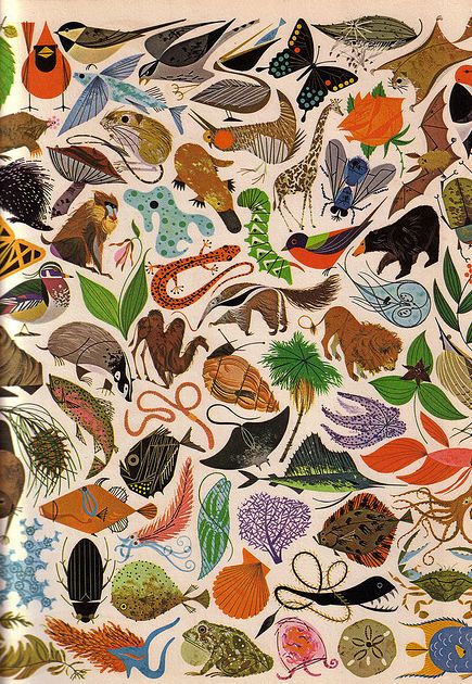 Charley Harper Illustration, Charley Harper Art, Charlie Harper, Animals And Plants, Mid Century Illustration, Charley Harper, Animal Illustrations, Scientific Illustration, Illustration Vintage