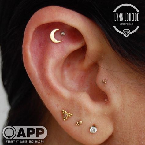 Coral Springs Florida, Springs Florida, Tragus, Piercings, Springs, Fine Jewelry, Coral, Florida, Healing