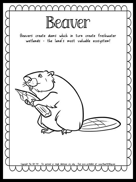 Beaver Coloring Page with Fun Fact {FREE Printable Download!} Beaver Lodge Craft, Beaver Coloring Page, Pagan Preschool, Indigenous Studies, Busy Beaver, Animal Science, Educational Activities For Kids, Facts For Kids, Fun Printables