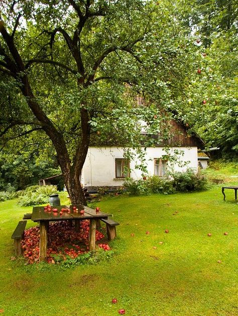 Photo My blog posts Dream Cottage, Rural Life, Garden Trees, Garden Cottage, Apple Tree, Dream Garden, Country Life, Country Cottage, Country Living