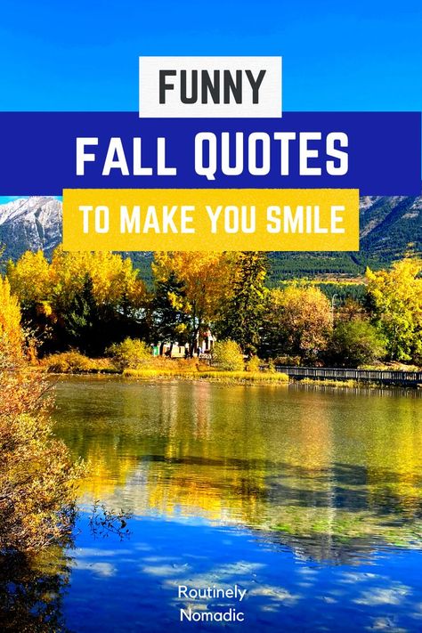 Did you just have the most amazing time enjoying a fall day and are now looking for the best funny fall quotes and captions for Instagram? Here are the best cute, funny, and short autumn quotes about falling for those crisp fall days. Find the best one that fits your experience, picture or just inspires you! Funny Fall Quotes Autumn, Funny Fall Quotes Autumn Hilarious, Funny Autumn Quotes, Fall Quotes Funny Humor, Quotes About Falling, Fall Season Quotes, Just Because Quotes, Funny Fall Quotes, Pool Funny