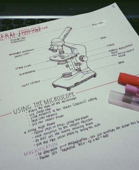 Microscope Notes Biology, Sains Note, Zoology Degree, Zoology Career, Zoology Notes, Micro Biology, Neet Study, Microbiology Notes, Learn Biology