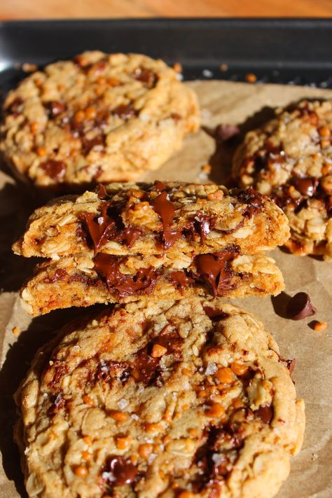 Toffee Oatmeal Chocolate Chip Cookies - Taffey Bakery Brown Sugar Toffee, Taffey Bakery, Chewy Toffee, Apple Oatmeal Cookies, Gooey Cookies, Toffee Cookies, Sweet Bites, Oatmeal Cookies Chewy, Oatmeal Chocolate Chip