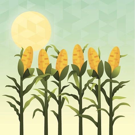 Corn Field Drawing, Corn Drawing, Field Drawing, Outfit Ideas Drawing, Road Drawing, Corn Painting, Colorful Art Projects, Field Background, Corn Field