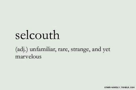 Words Definitions, Phobia Words, Describe Feelings, Silly Words, Words To Describe Someone, Unique Words Definitions, Words That Describe Feelings, Uncommon Words, Poetic Words