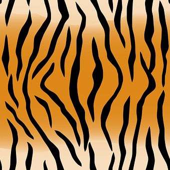 10,000+ Free Pattern & Background Illustrations - Pixabay Tiger Images, Wild Tiger, Tiger Art, Tiger Stripes, Tiger Print, Knitting Charts, View Image, Animal Pattern, Free Pictures