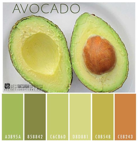 Image result for seeds color palette avocado green coral Avocado Oil Hair, How To Cut Avocado, Homemade Hair Mask, Color Palette Bright, Green Fruit, Delicious Fruit, Moisturize Hair, Avocado Green, Color Stories