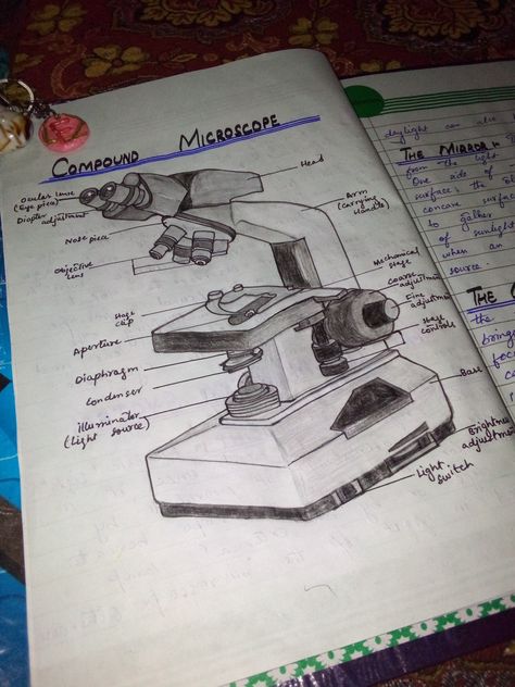 Compound microscope is used in microbiological laboratory and in many labs. It is used for enlarging small and minute objects... Compound Light Microscope Drawing, Compound Microscope Drawing With Label, Compound Microscope Drawing, Microscope Drawing With Label, Microscope Diagram, Microscope Drawing, Parts Of A Microscope, Blackout Poetry Art, Free Printable Crossword Puzzles