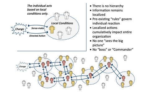 Figure 2: Swarm Intelligence and Decentralized Decision-Making Swarm Intelligence, The Birds And The Bees, Bee Swarm, Birds And The Bees, The Birds, Big Picture, Decision Making, Acting, The Past