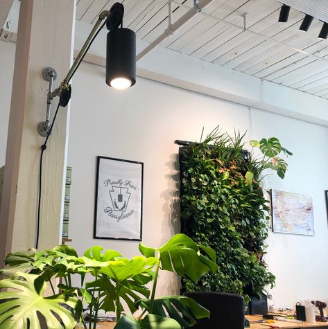 Studio Inspiration Indoor Plant Wall With Lights, Plant Wall Low Light, Plant Wall Shelf Ideas With Grow Lights, Plant Shelf Led, Plant Shelf Grow Light, Indoor Plant Lights, Plant Walls, Tall Indoor Plants, Artificial Green Wall