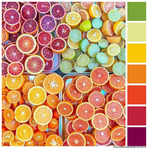 Sangria anyone? — Stacia Farrar Sangria Color, Hex Color Palette, Colour Pallets, Color Schemes Colour Palettes, Palette Design, Color Palate, Color Balance, Color Palette Design, Color Story