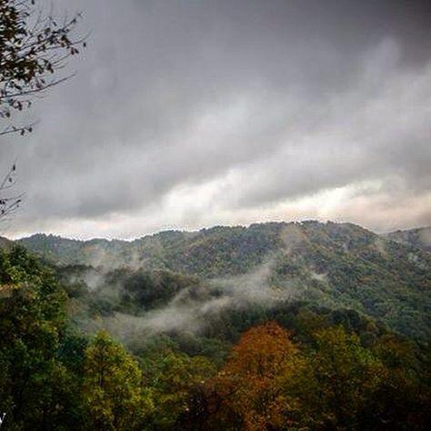 Blue Ridge Mountains America trip 2014 #usa #america #Virginia #travel #foggy #fog #photo #photoofthedayij Blue Ridge Mountains Aesthetic, Blue Ridge Mountains Virginia, Gothic Americana, America Trip, Virginia Mountains, Mountains Aesthetic, Virginia Travel, Raven Cycle, Blue Ridge Parkway