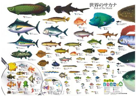 Fish - Animal Crossing Wiki Animal Crossing List, Napoleon Fish, Animal Crossing Fish, Sturgeon Fish, Fish List, Fish Poster, Animals Wallpapers, Neon Tetra, Animal Crossing Wiki