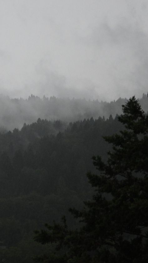 Mysterious Background Aesthetic, Cloudy Forest Aesthetic, Scrappy Aesthetic, Dark Foggy Aesthetic, Foggy Weather Aesthetic, Foggy Forest Aesthetic, Eli Aesthetic, Robin Core, Gray Hour