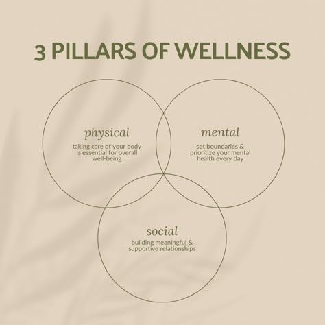 These 3 pillars of wellness all go hand-in-hand! Reflect on how you're showing up in each category & access what you could improve on. 5 Pillars Of Wellness, 7 Pillars Of Self Care, Pillars Of Self Care, Pillars Of Wellness, 8 Dimensions Of Wellness Wheel, Brand Development, Retail Interior, Physical Health, Avocado Toast