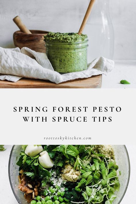 Spruce Tips Recipes, Simple Pesto Recipe, Foraged Recipes, Nettle Recipes, Spruce Tips, Wild Food Foraging, Foraging Recipes, Foraged Food, Green Superfood