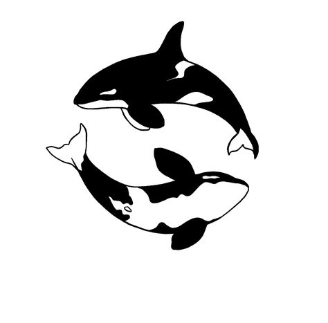 Orca Yin Yang Tattoo, American Traditional Orca Tattoo, Cute Orca Tattoo, Octopus Simple Drawing, Orca Whale Tattoo Design, Orca Whales Drawing, Ocean Wrist Tattoo, Cute Orca Drawing, Orcas Painting