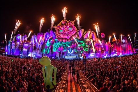 edc-vegas-2015-kinetic-field-Doug-Van-Sant-for-Insomniac-1 Edc Vegas, Rave Outfits Edc, George Lopez, Edc Las Vegas, Electric Daisy, Electronic Music Festival, Fest Outfits, Electric Daisy Carnival, Edm Festival