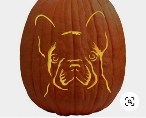 Pumpkin Carving Ideas French Bulldog, French Bulldog Pumpkin Carving, Bulldog Pumpkin Carving, Dog Pumpkin Carving Ideas, French Bulldog Pumpkin, Dog Pumpkin Carving, Pumpkin Carving Stencils Easy, Bulldog Pumpkin, Disney Pumpkin Carving Templates