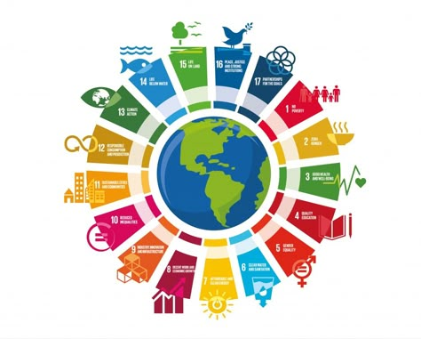 Sustainable Development Design, Sdg Goals, Wheel Illustration, Sustainable Development Projects, Report Design Template, Un Sustainable Development Goals, Bond Paper Design, Responsible Tourism, Teaching Biology