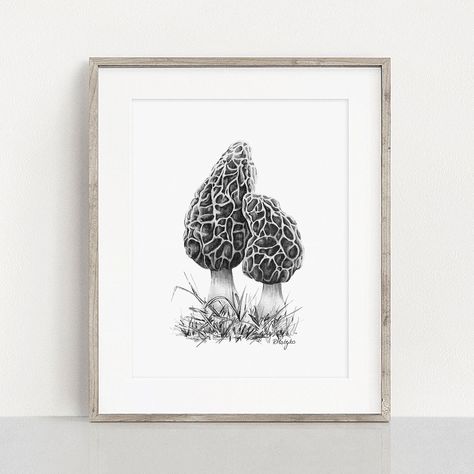 Morel Mushrooms Art, Drawing Autumn, Edible Fungi, Morel Mushroom, Mushroom Print, Mushroom Art, Graphite Pencils, Botanical Wall Art, Pencil Art