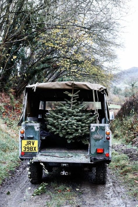 Christmas Tree Smell, Countryside Life, Car Leasing, American Trucks, English Christmas, Christmas Cottage, Real Christmas, Real Christmas Tree, Cottage Christmas