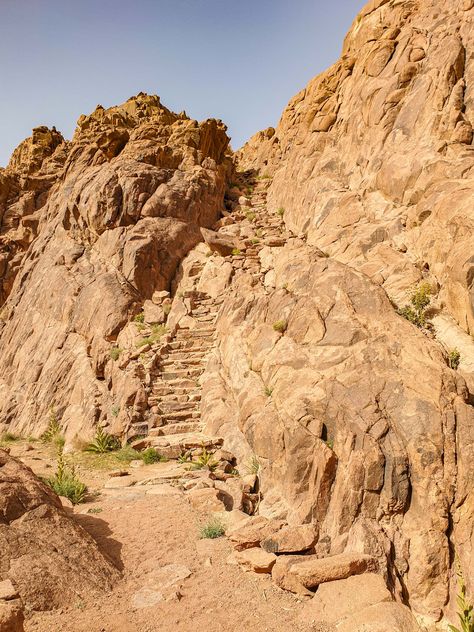 Moses On The Mountain, Valley Of The Kings Egypt Photography, Mount Sinai Egypt, Ash Wastes, Mountain View Hyde Park Egypt, Sinai Peninsula, Biblical History, Mount Sinai, Visit Egypt