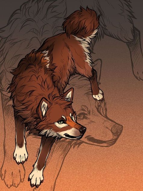 Legs Drawing, Anime Wolves, Wolf Drawings, Wolf Poses, Anime Wolf Drawing, Wolf Character, Wolf Artwork, Fantasy Wolf, Red Wolf