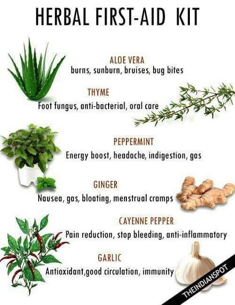 Self care
Health
Personal care
Personal development Herbs Plants, Medicinal Herbs Garden, Medical Herbs, Magia Das Ervas, Magic Herbs, Natural Healing Remedies, Healing Plants, Herbal Healing, Home Health Remedies