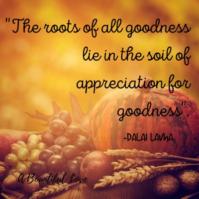 10 Best Thanksgiving Quotes - A Bountiful Love Thanksgiving Week Quotes, Thanksgiving Quotes Thankful, Thanksgiving Devotions, Turkey Quotes, Thanksgiving Quotes Inspirational, Helen Keller Quotes, November Quotes, Thanksgiving Week, Bible Humor