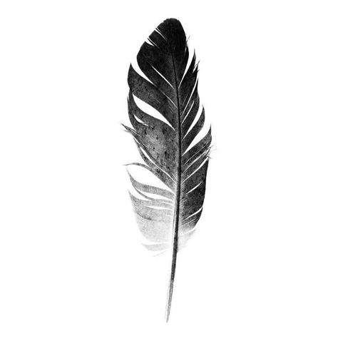 Black Feather Drawing, Feathers Drawing, Feathers Painting, Feathers Illustration, Feather Tattoo Ideas, Feather Sketch, Feather Photo, Watercolor Tattoo Ideas, Hawk Tattoo