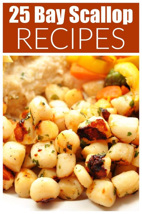 Recipes For Bay Scallops, Bay Scallop Recipes Healthy, Baby Scallop Recipes, Bay Scallops And Pasta, Bay Scallop Recipes Easy, Scallop Meals, Bay Scallop Pasta, Scallop Casserole, Bay Scallop Recipes